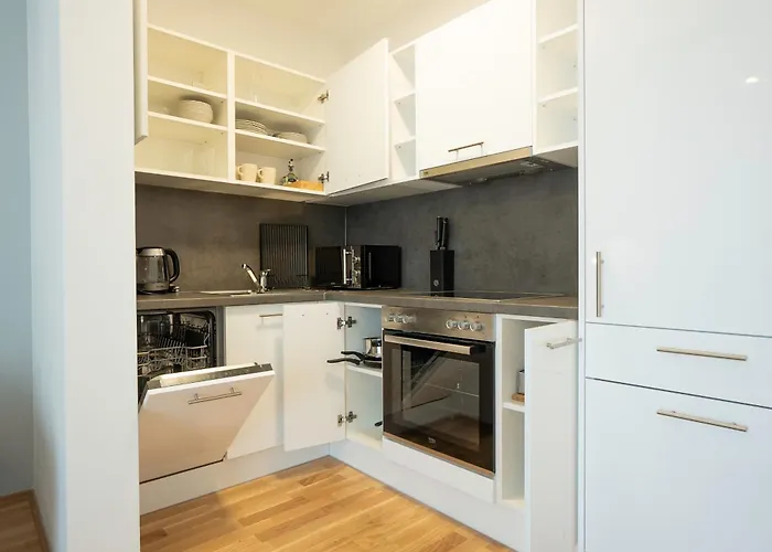 Apartamento 42m2 Apartment, Location With Big Terrace Viena